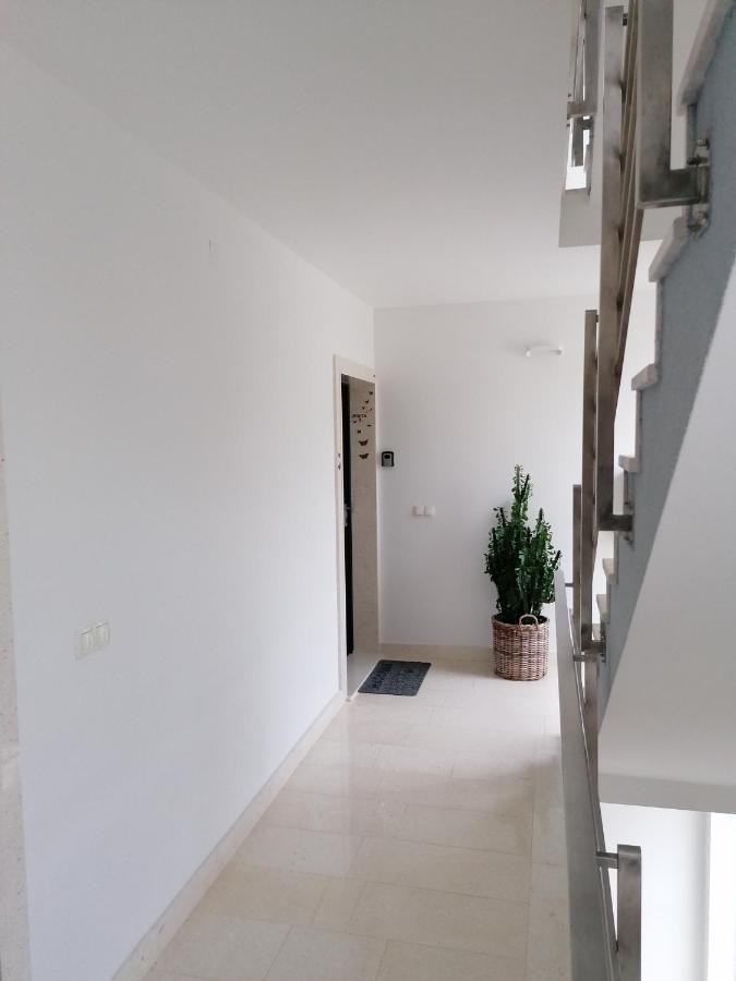 Judita Trogir Luaran gambar